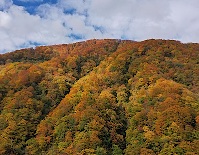 img_01
